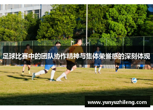 足球比赛中的团队协作精神与集体荣誉感的深刻体现